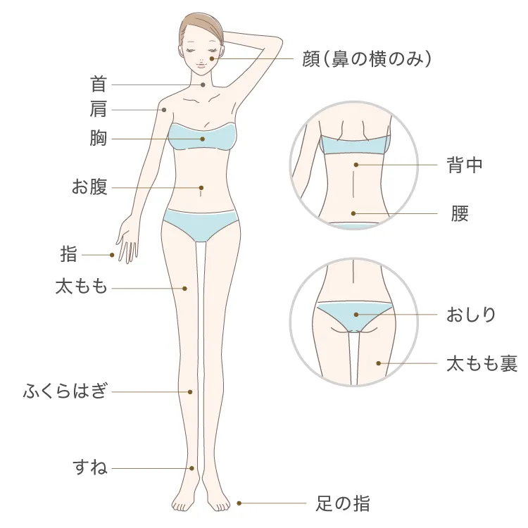 施術可能部位
