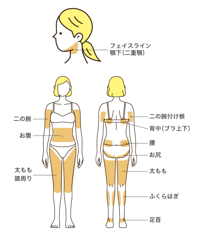 BNLSの用量