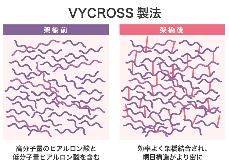 バイクロス技術