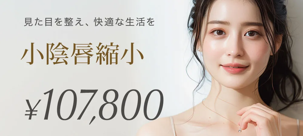 小陰唇縮小 107,800円