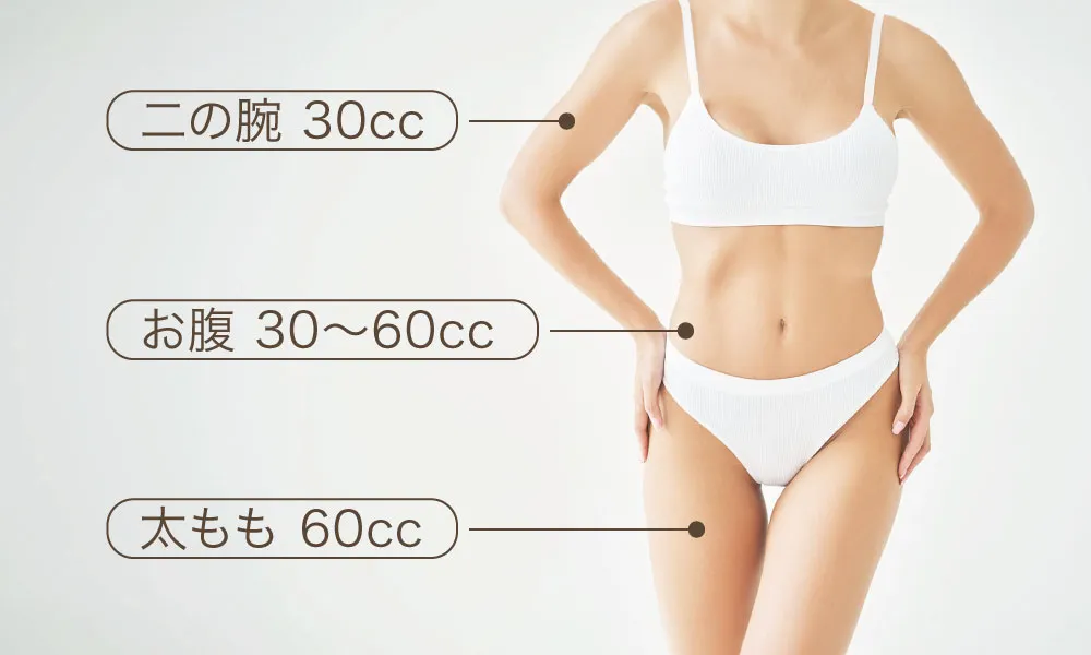 使用量・部位
